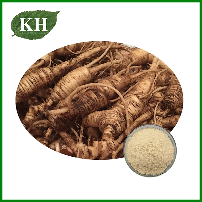 American Ginseng Extract Powder American Ginseng Extract Powder